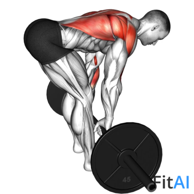Barbell Paused Bent-Over Row