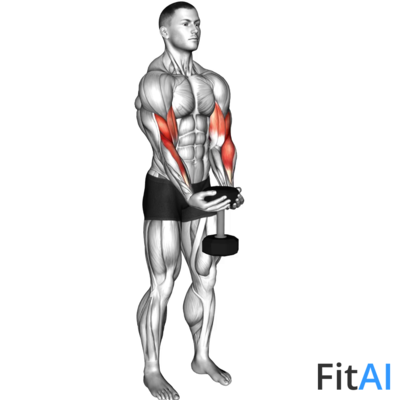 Dumbbell Waiter Biceps Curl