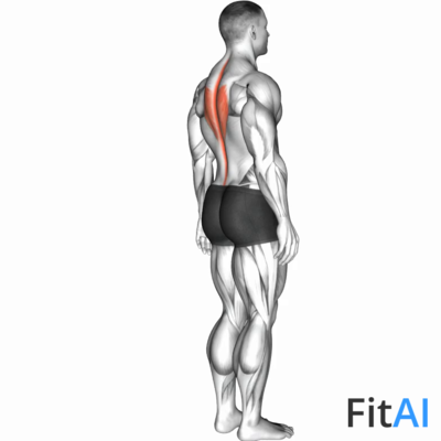 Spine (Lumbar) - Extension
