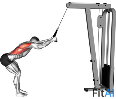 Cable Standing Lat Pushdown (Rope)