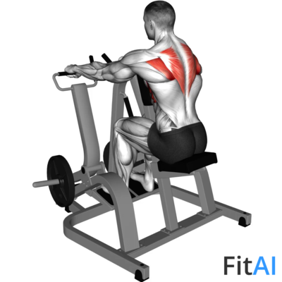 Lever Pronated-Grip Seated Scapular Retraction Shrug (Plate)