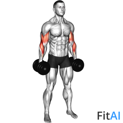 Dumbbell Standing Alternate Reverse Curl