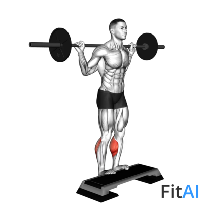 Barbell Standing Leg Calf Raise