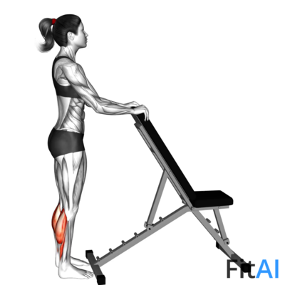 Standing Calf Raise with Support