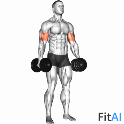 Dumbbell Standing Inner Biceps Curl (V2)