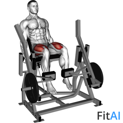 Lever Alternate Leg Extension (Plate)