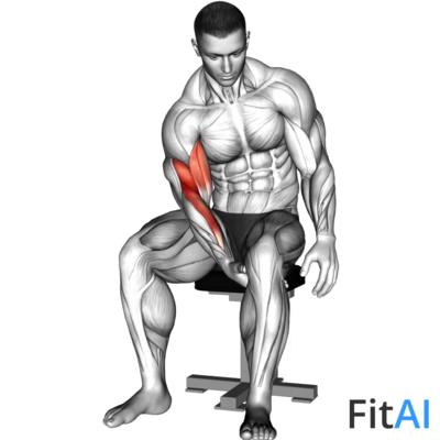 Biceps Leg Concentration Curl