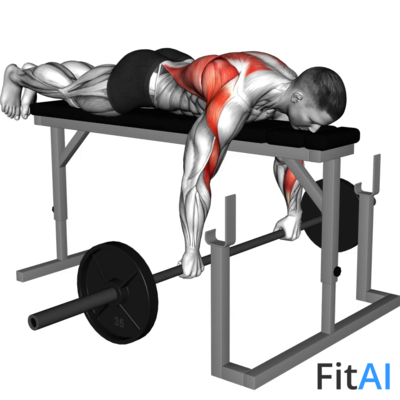 Barbell Lying Row on Rack