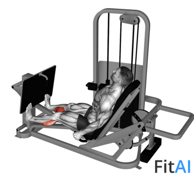 Lever Seated Calf Press