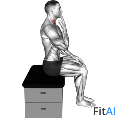 Seated Chin Tuck (V2)
