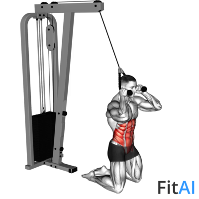 Cable Kneeling Crunch (V2)