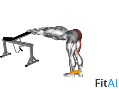 Resistance Band One Leg Kickback (Bent Position)