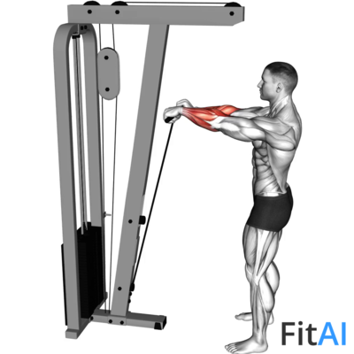 Cable Standing Wrist Roll