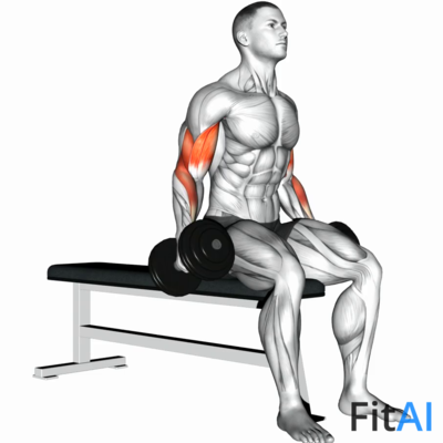 Dumbbell Seated Curl