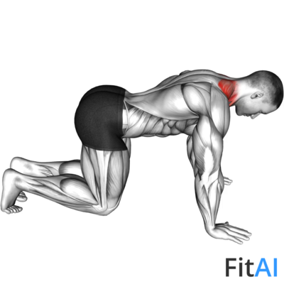 Kneeling Neck Stretch