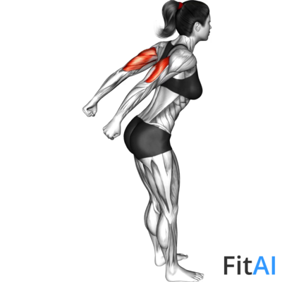 Bodyweight Pulsing Triceps Kickback