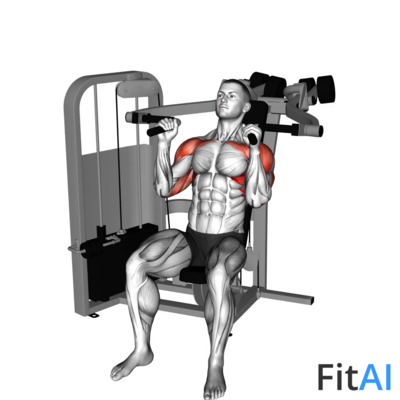 Lever Seated Hammer-Grip Shoulder Press