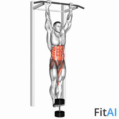 Weighted Hanging leg hip raise