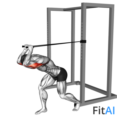 Band High Pulley Overhead Triceps Extension