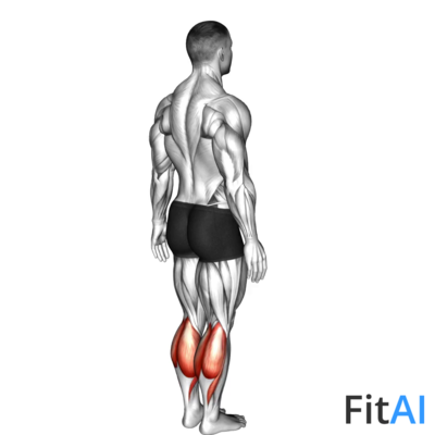 Ankle - Plantar Flexion