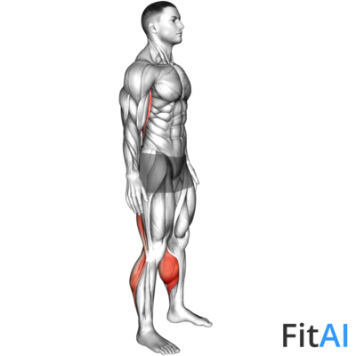 Standing Hamstrings and Back Stretch