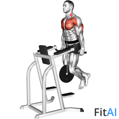 Weighted Tricep Dips