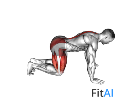 Kneeling Backward Hip Circles