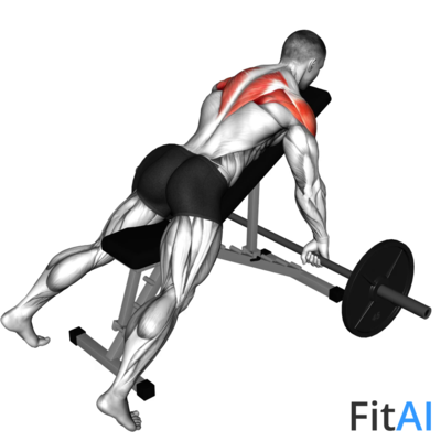 Barbell Incline Rear Delt Row