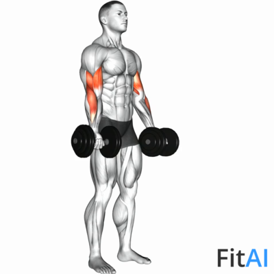 Dumbbell Biceps Curl