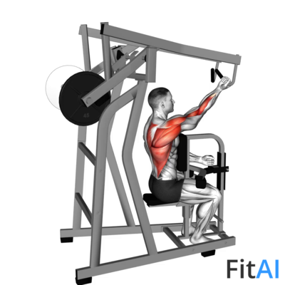 Lever One Arm Reverse-Grip High Row (Plate)