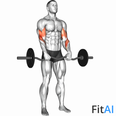 EZ-Barbell Reverse-Grip Curl
