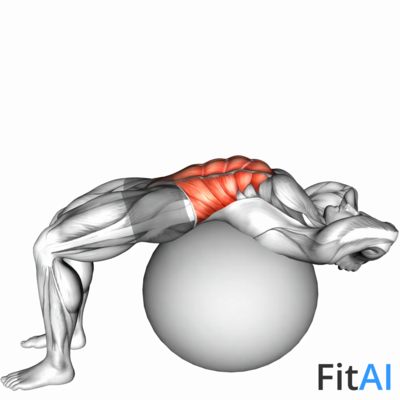 Stability Ball Crunch (Full range hands behind head)