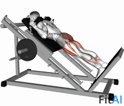 Sled Reverse Hack Squat