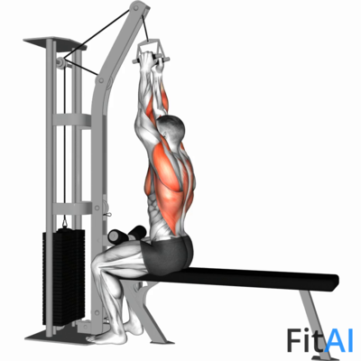 Cable Seated High Row (V-bar)