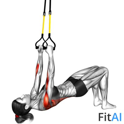 Suspender Bent knee Inverted Row