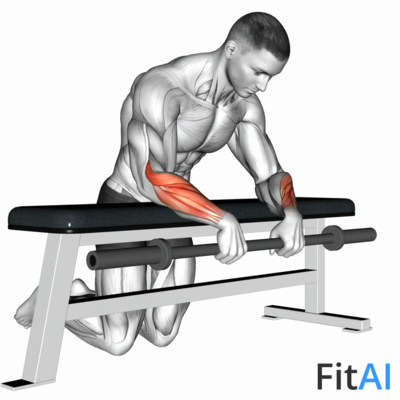 Barbell Palms Down Wrist Curl Over A Bench