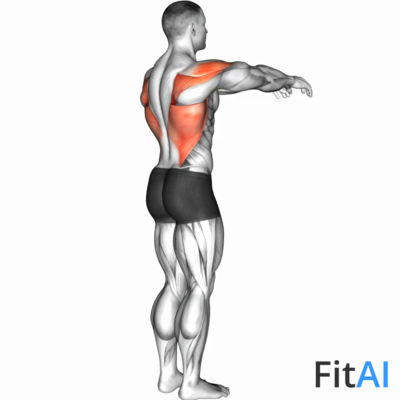 Shoulder - Transverse Extension