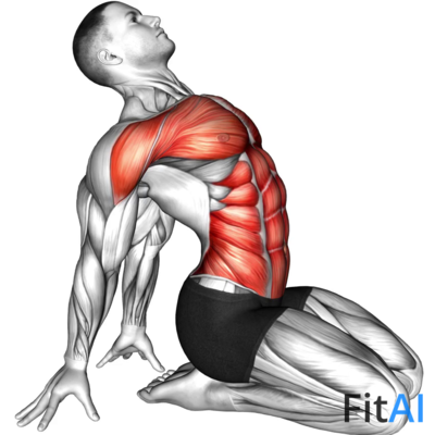 Seated Leaning Back Stretch