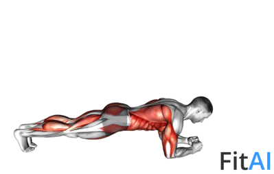 Front Plank with Arm and Leg Lift