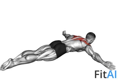 Lying Rear Lateral Raise