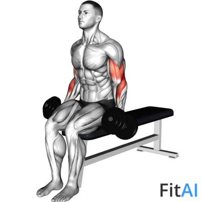 Dumbbell Alternate Seated Biceps Curl