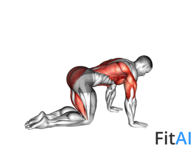 Sliding Leg Bird Dog