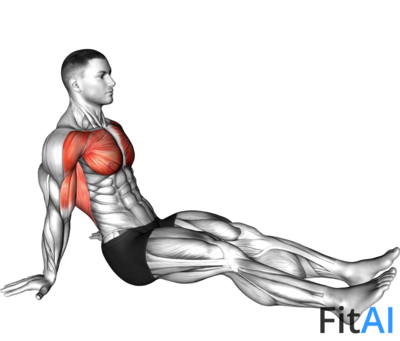 Seated Shoulder Flexor Depresor Retractor Stretch