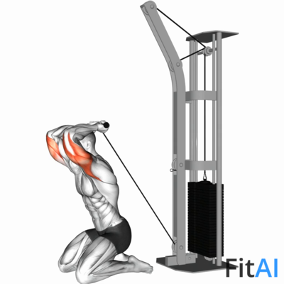 Cable Kneeling Triceps Extension (V2)