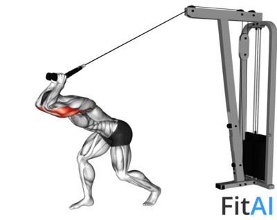 Cable High Pulley Overhead Tricep Extension