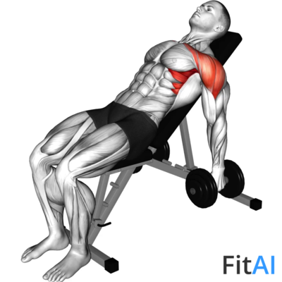 Dumbbell Incline Raise