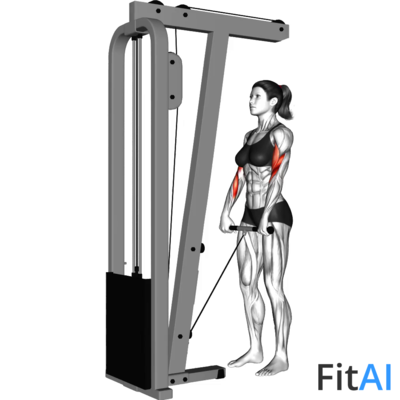 Cable Standing Reverse-Grip Curl
