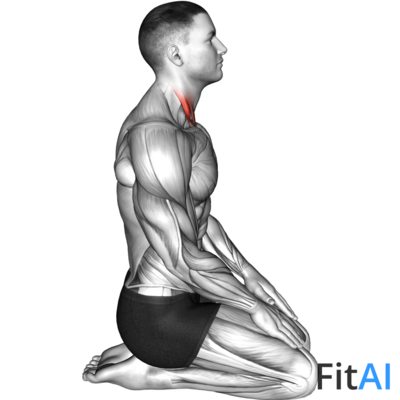Seated Chin Tuck