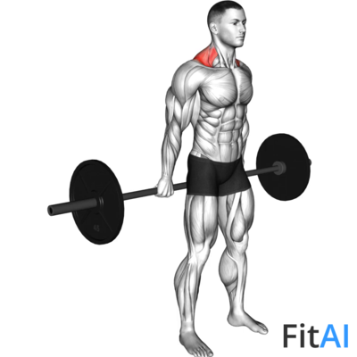 Barbell Behind The Back Shrug