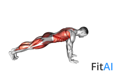Front Plank with Arm and Leg Lift (push-up position)